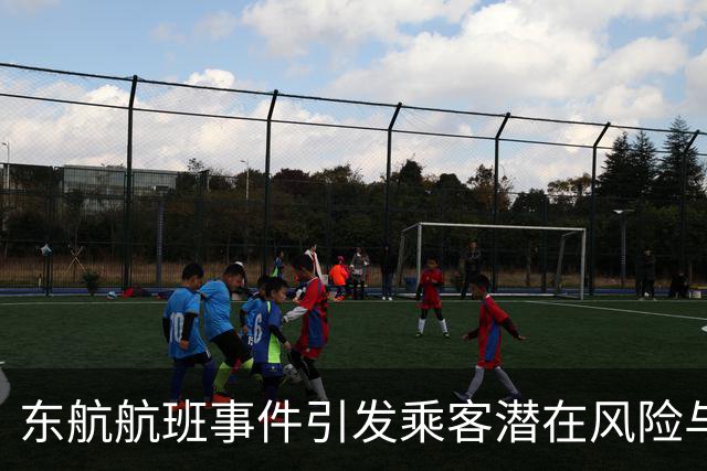 东航航班事件引发乘客潜在风险与教训